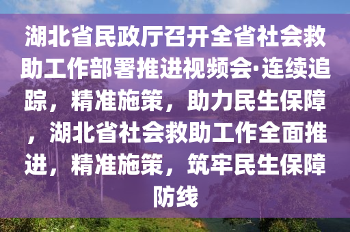 湖北省民政廳召開全省社會救助工作部署推進視頻會·連續(xù)追蹤，精準施策，助力民生保障，湖北省社會救助工作全面推進，精準施策，筑牢民生保障防線