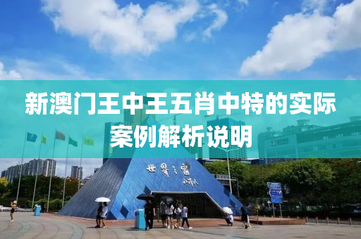 新澳門王中王五肖中特的實際案例液壓動力機械,元件制造解析說明