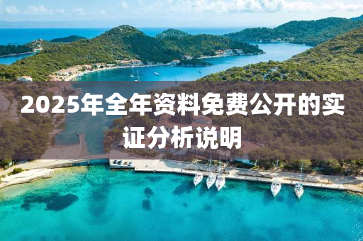 2025年全年資料免費(fèi)公開的實(shí)證分析說明液壓動(dòng)力機(jī)械,元件制造