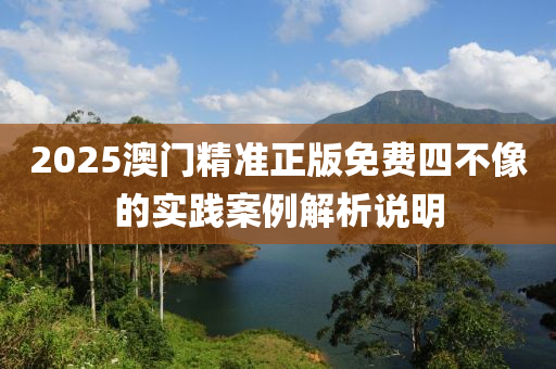 2025澳門精準(zhǔn)正版免費四不像的實踐案例解析說明液壓動力機械,元件制造