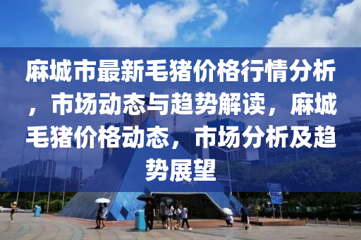 麻城市最新毛豬價格行情分析，液壓動力機械,元件制造市場動態(tài)與趨勢解讀，麻城毛豬價格動態(tài)，市場分析及趨勢展望