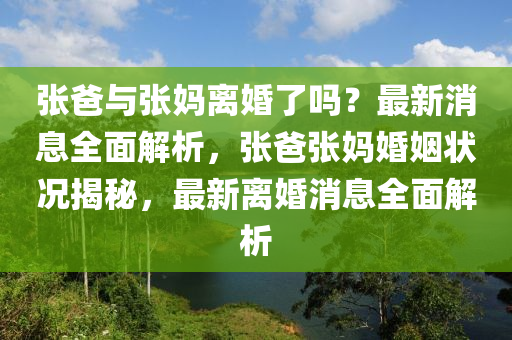 張爸與張媽離婚了嗎？最新消液壓動力機械,元件制造息全面解析，張爸張媽婚姻狀況揭秘，最新離婚消息全面解析