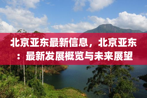 北京亞東最新信息，北京亞東：最液壓動力機械,元件制造新發(fā)展概覽與未來展望