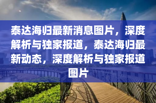 泰達海歸最新消息圖片，深度解析與獨家報道，泰達海歸最新動態(tài)，深液壓動力機械,元件制造度解析與獨家報道圖片