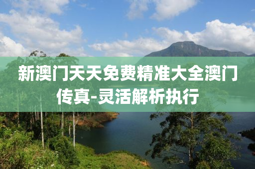 新澳門天天免費精準大全澳門傳真-靈活解析執(zhí)行液壓動力機械,元件制造