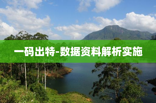 一碼出特-數據資料解析實施液壓動力機械,元件制造