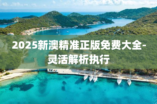 2025新澳精準(zhǔn)正液壓動力機械,元件制造版免費大全-靈活解析執(zhí)行