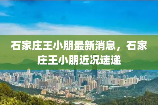 石家莊王小朋最新消息，石家莊王小朋近況速遞液壓動力機(jī)械,元件制造