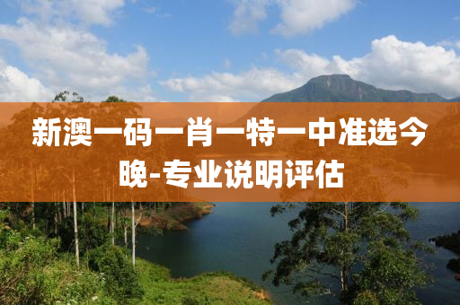 新澳一碼一肖一特一中準(zhǔn)選今晚-專業(yè)說明評估液壓動力機(jī)械,元件制造