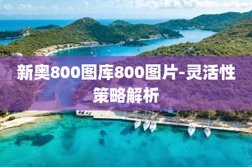 新奧800圖庫800圖片-靈活性策略解析液壓動力機械,元件制造