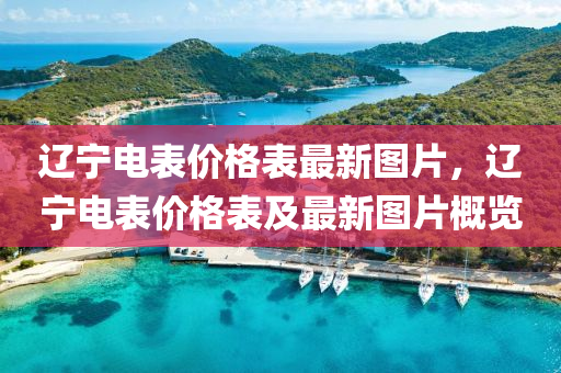 遼寧電表價(jià)格表最新圖片，遼寧電表價(jià)格表及最新圖片概覽