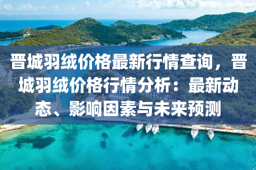 晉城羽絨價格最新行情查詢，晉城羽絨價格行情分析：最新動態(tài)、影響因素與未來預(yù)測液壓動力機(jī)械,元件制造