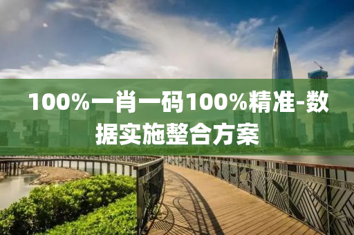 100%一肖一碼100%精準-數(shù)據(jù)實施整合方案