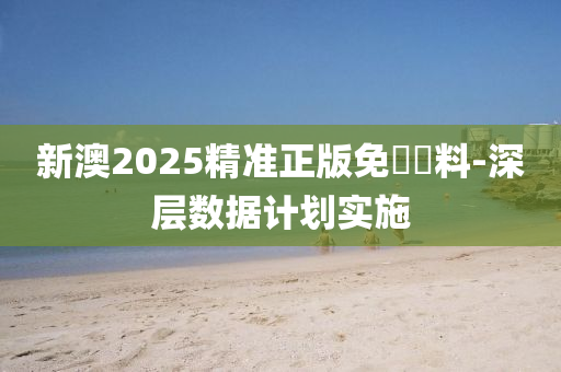 新澳2025精準(zhǔn)正版免費資料-深層數(shù)據(jù)計劃實施