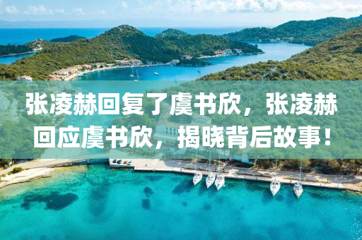 張凌赫回復了虞書欣，張凌赫回應虞書欣，揭曉背后故事！液壓動力機械,元件制造