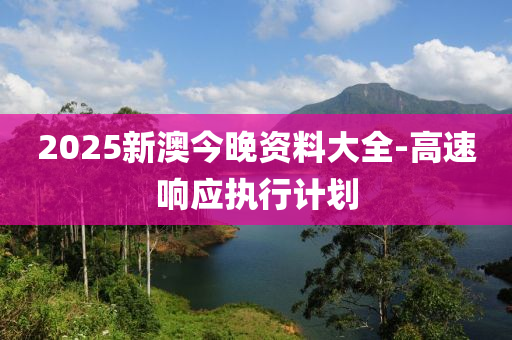 2025新澳今晚資料大全-高速響應(yīng)執(zhí)行計劃