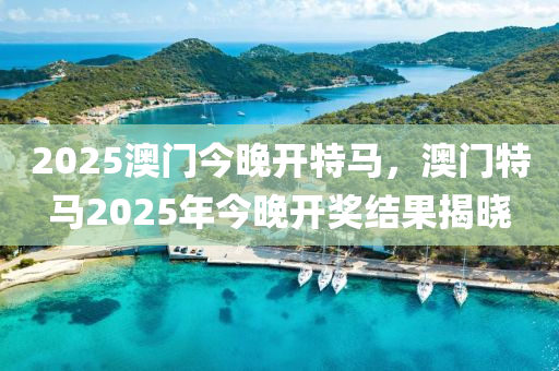 2025澳門今晚開特馬，澳門特馬2025年今晚開獎結(jié)果揭曉液壓動力機(jī)械,元件制造