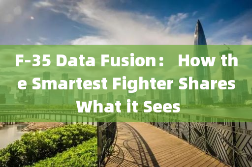 F-35 Data Fusion： How the Smartest Fighter Shares What it Se液壓動力機械,元件制造es