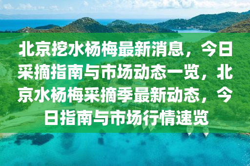 北京挖水楊梅最新消息，今日采摘指南與市場動態(tài)一覽，北京水楊梅采摘季最新動態(tài)，今日指南與市場行情速覽液壓動力機(jī)械,元件制造