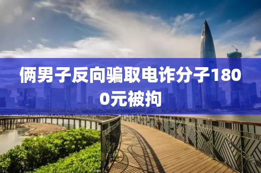 倆男子反向騙取電詐分子1800元被拘液壓動力機械,元件制造