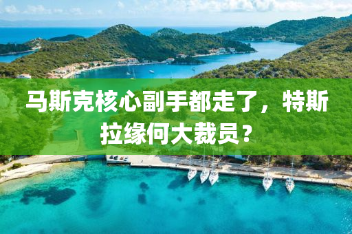 馬斯克核心副手都走了，特斯拉緣何大裁員？液壓動力機(jī)械,元件制造