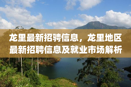 龍里最新招騁信息，龍里地區(qū)最新招聘信息及就業(yè)市場(chǎng)解析