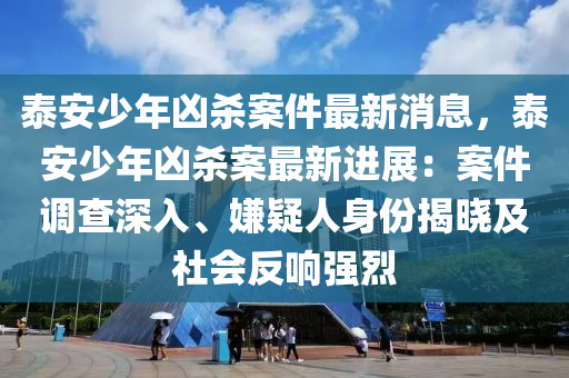 泰安少年兇殺案件最新消息，泰安少年兇殺案最新進展：案液壓動力機械,元件制造件調(diào)查深入、嫌疑人身份揭曉及社會反響強烈