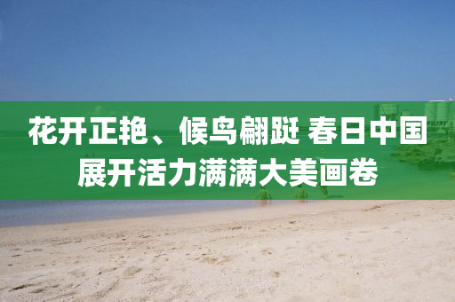 花開正艷、候鳥翩躚 春日中國展開活力滿滿大美畫卷液壓動力機(jī)械,元件制造