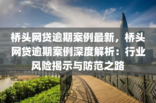 橋頭網貸逾期案例最液壓動力機械,元件制造新，橋頭網貸逾期案例深度解析：行業(yè)風險揭示與防范之路