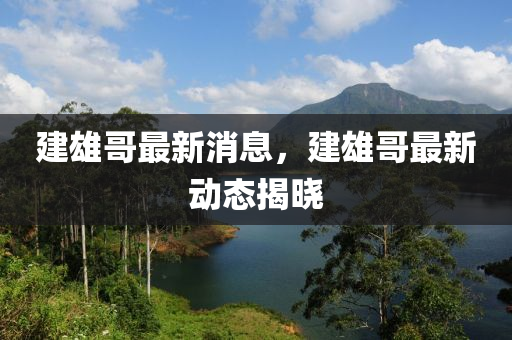 液壓動力機械,元件制造建雄哥最新消息，建雄哥最新動態(tài)揭曉