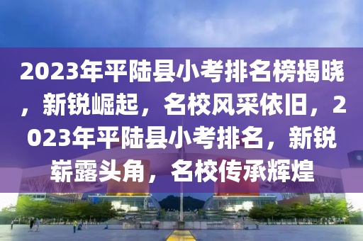 2023年平陸縣小考排名榜揭曉，新銳崛起，名校風采依舊，2023年平陸縣小考排名，新銳嶄露頭角，名校傳承輝煌