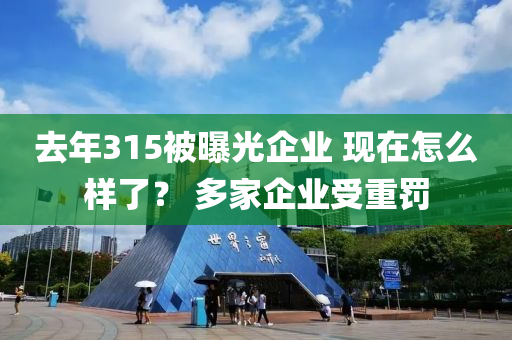 去年315被曝光企業(yè) 現(xiàn)在怎么樣了？ 多家企業(yè)受重罰液壓動力機械,元件制造