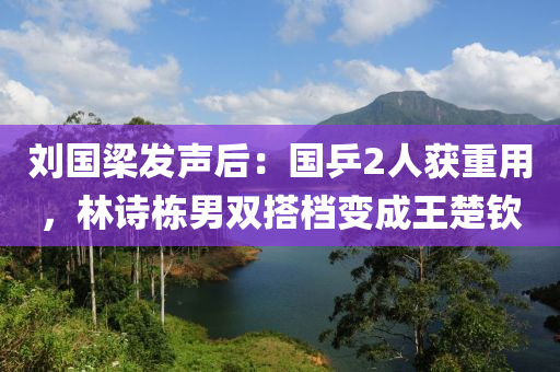 劉國梁發(fā)聲后：國乒2人獲重用，林詩棟男雙搭檔變成王楚欽液壓動(dòng)力機(jī)械,元件制造