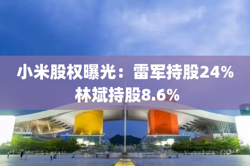 小米股權(quán)曝光：雷軍持股24% 林斌持股8.6%