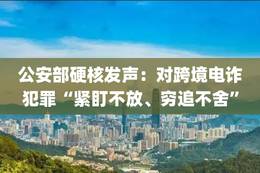 公安部硬核發(fā)聲：對跨境電詐犯罪“緊盯不放、窮追不舍”液壓動(dòng)力機(jī)械,元件制造