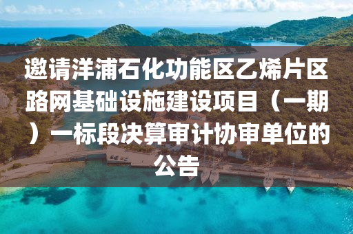 邀請洋浦石化功能區(qū)乙烯片區(qū)路網(wǎng)基礎設施建設項目（一期）一標段決算審計協(xié)審單位的公告液壓動力機械,元件制造