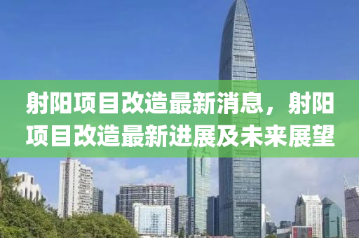 射陽項目改造最新消息，射陽項目改造最新進展及未來展望液壓動力機械,元件制造