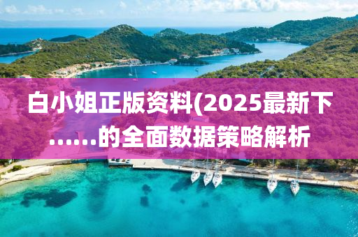 白小姐正版資液壓動力機(jī)械,元件制造料(2025最新下……的全面數(shù)據(jù)策略解析