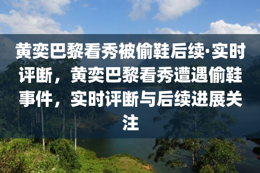 黃奕巴黎看秀被偷鞋后續(xù)·實時評斷，黃奕巴黎看秀遭遇偷鞋事件，實時評斷與后續(xù)進展關(guān)注液壓動力機械,元件制造