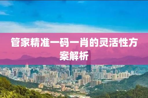 管家精準一碼一肖的靈活性方案解析液壓動力機械,元件制造