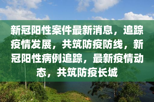 新冠陽性案件最新消息，追蹤疫情發(fā)展，共筑防疫防線，新冠陽性病例追蹤，最新疫情動態(tài)，共筑防疫長城