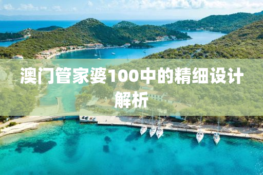 澳門管家婆100中的精細設計解析