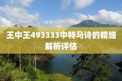 王中王493液壓動力機械,元件制造333中特馬詩的精細(xì)解析評估