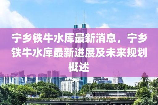 寧鄉(xiāng)鐵牛水庫最新消息，寧鄉(xiāng)鐵牛水庫最新進展及未來規(guī)劃概述液壓動力機械,元件制造