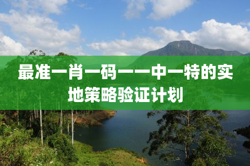 最準一肖一碼一一中一特的實地策略驗證計劃液壓動力機械,元件制造