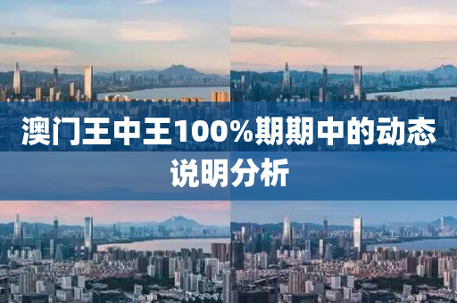 澳門王中王100%期期中的動態(tài)說明分析