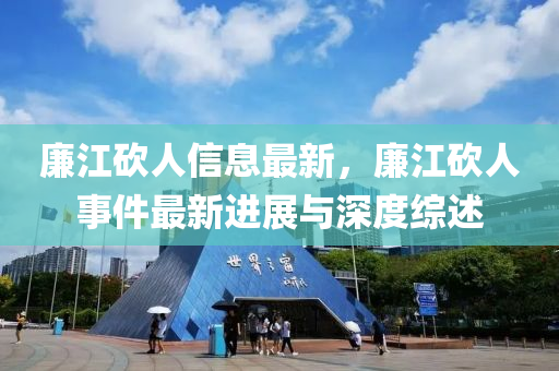 廉江砍人信息最新，廉江砍人事件最新進展與深度綜述液壓動力機械,元件制造