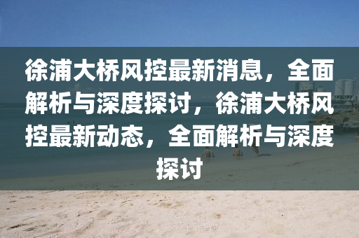 徐浦大橋風控最新消息，全面解析與深度探討，徐浦大橋風控最新動態(tài)，全面解析與深度探討