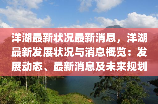 洋湖最新狀況最新消息，洋湖最新發(fā)展?fàn)顩r與消息概覽：發(fā)展動態(tài)、最新消息及未來規(guī)劃液壓動力機械,元件制造