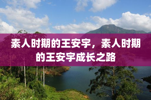 素人時期的王安宇，素人時期的王安宇成長之路液壓動力機械,元件制造